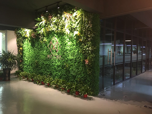 1656294224827419.jpg 2.JPG